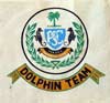 Dolphin team badge