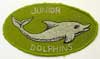 Dolphins badge